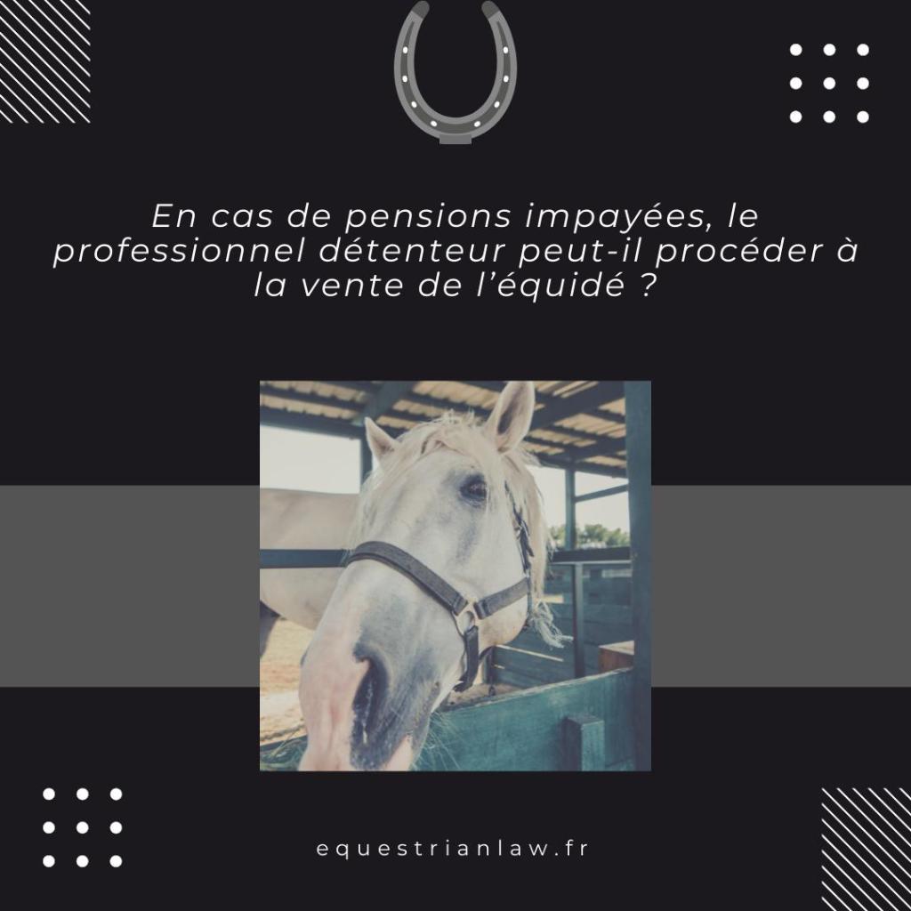 Pension d’équidés et impayés : Vente forcée des équidés, mythe ou réalité ?