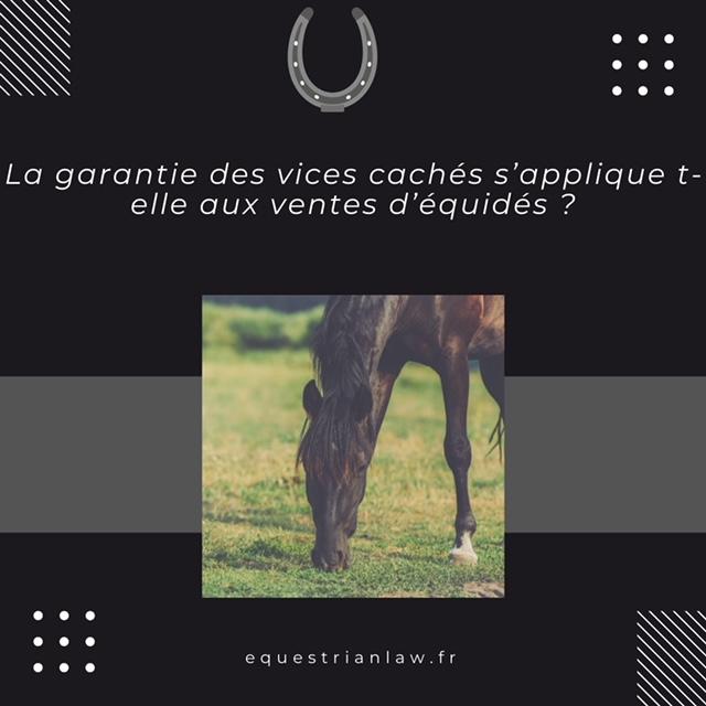 Les ventes de chevaux sont-elles couvertes par la garantie des vices cachés ?